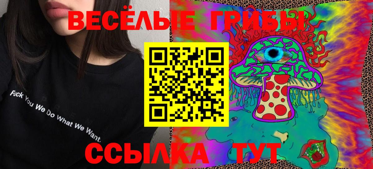 Галлюциногенные грибы Psilocybe Черкесск